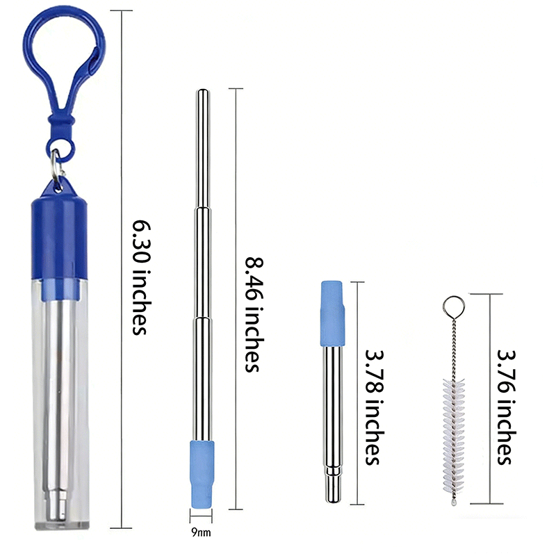 Telescopic Stainless Steel Straw